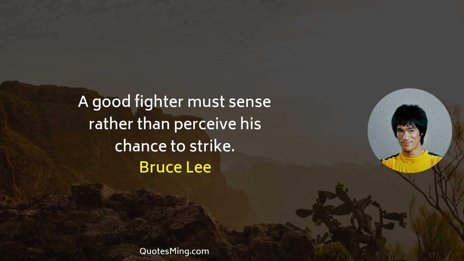 A good fighter must sense rather than perceive his chance