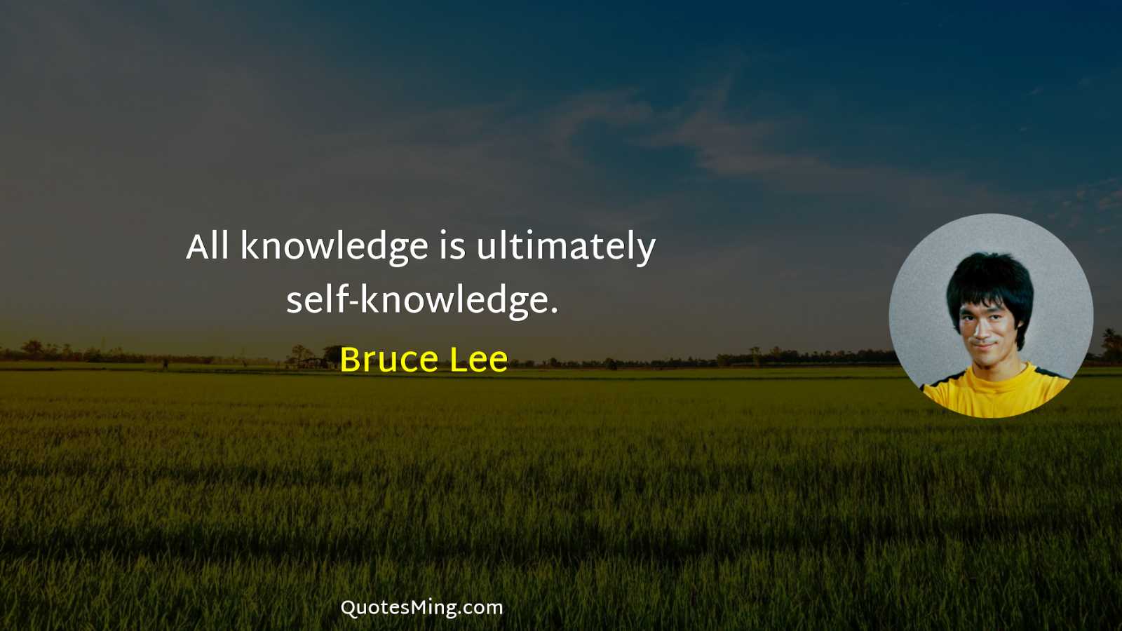 All knowledge is ultimately self-knowledge