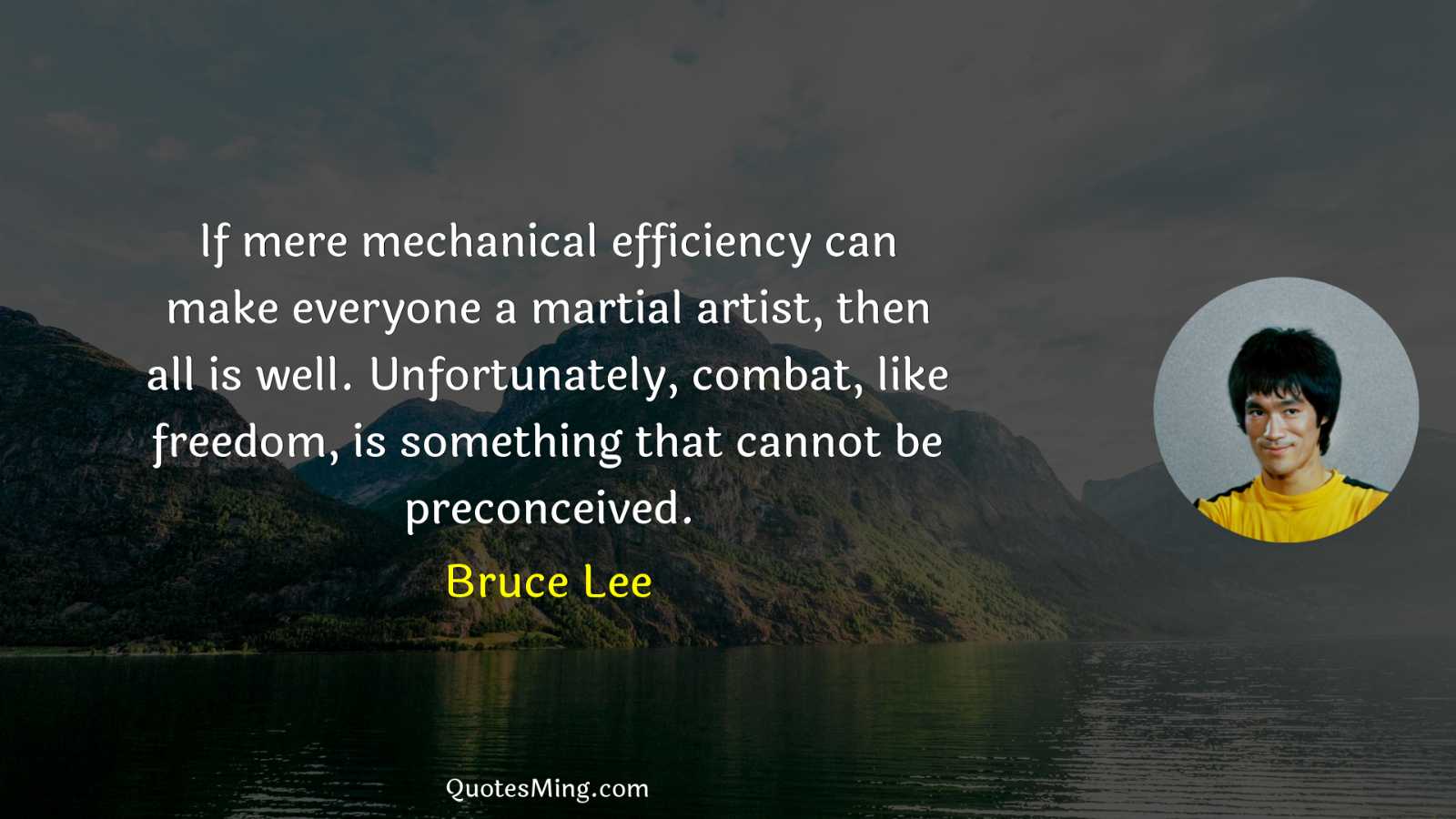 If mere mechanical efficiency can make everyone a martial artist