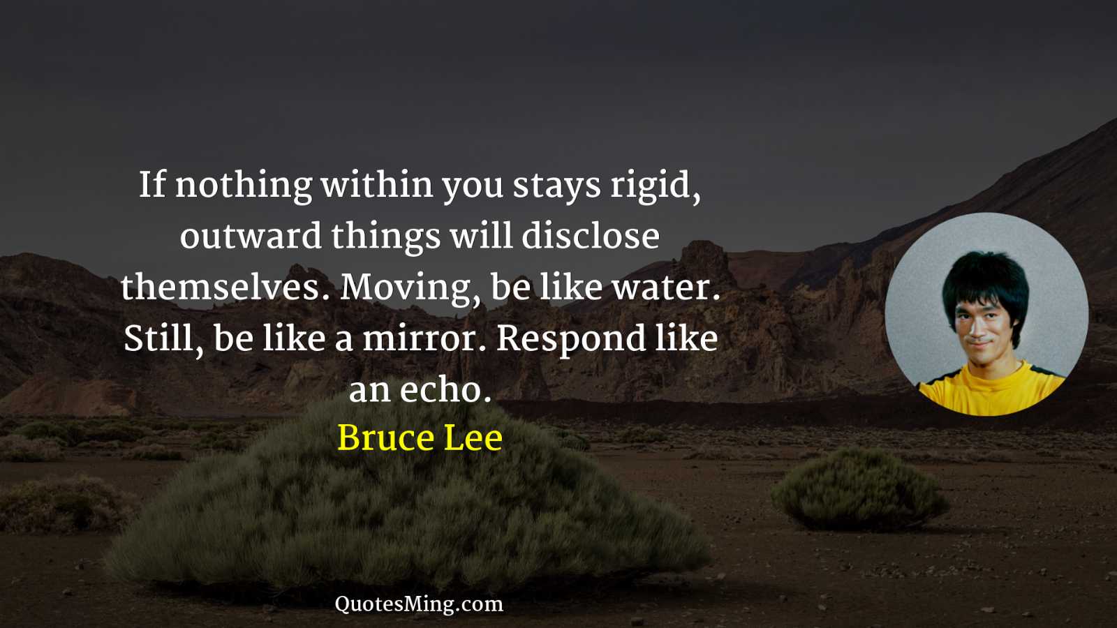 If nothing within you stays rigid outward things will disclose