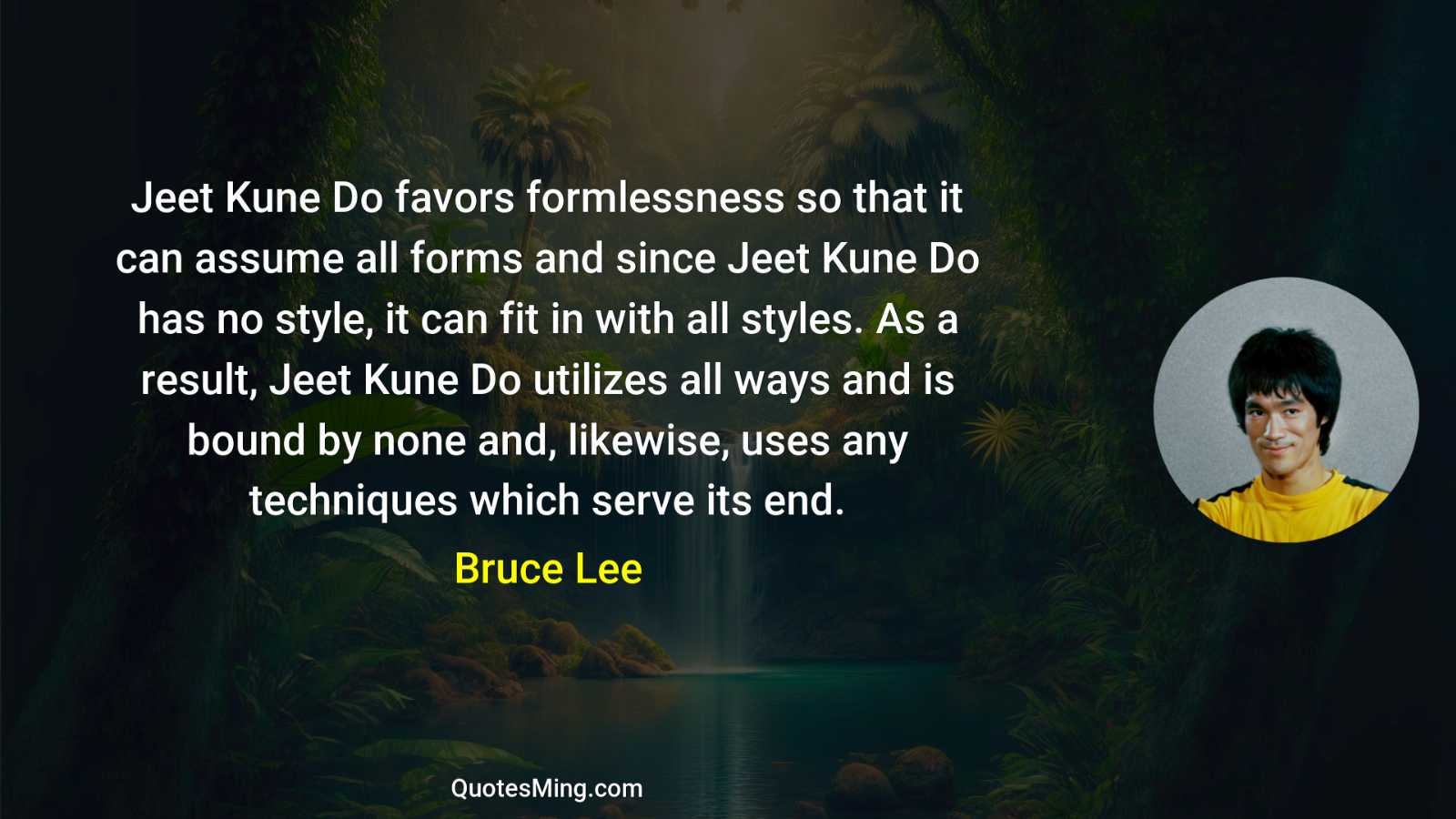 Jeet Kune Do favors formlessness so that it can assume