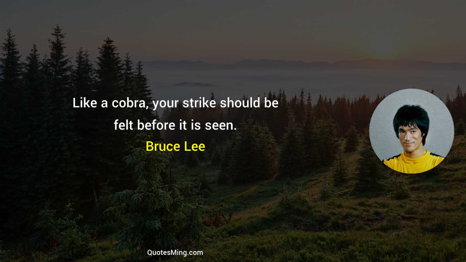 Like a cobra your strike should be felt before it