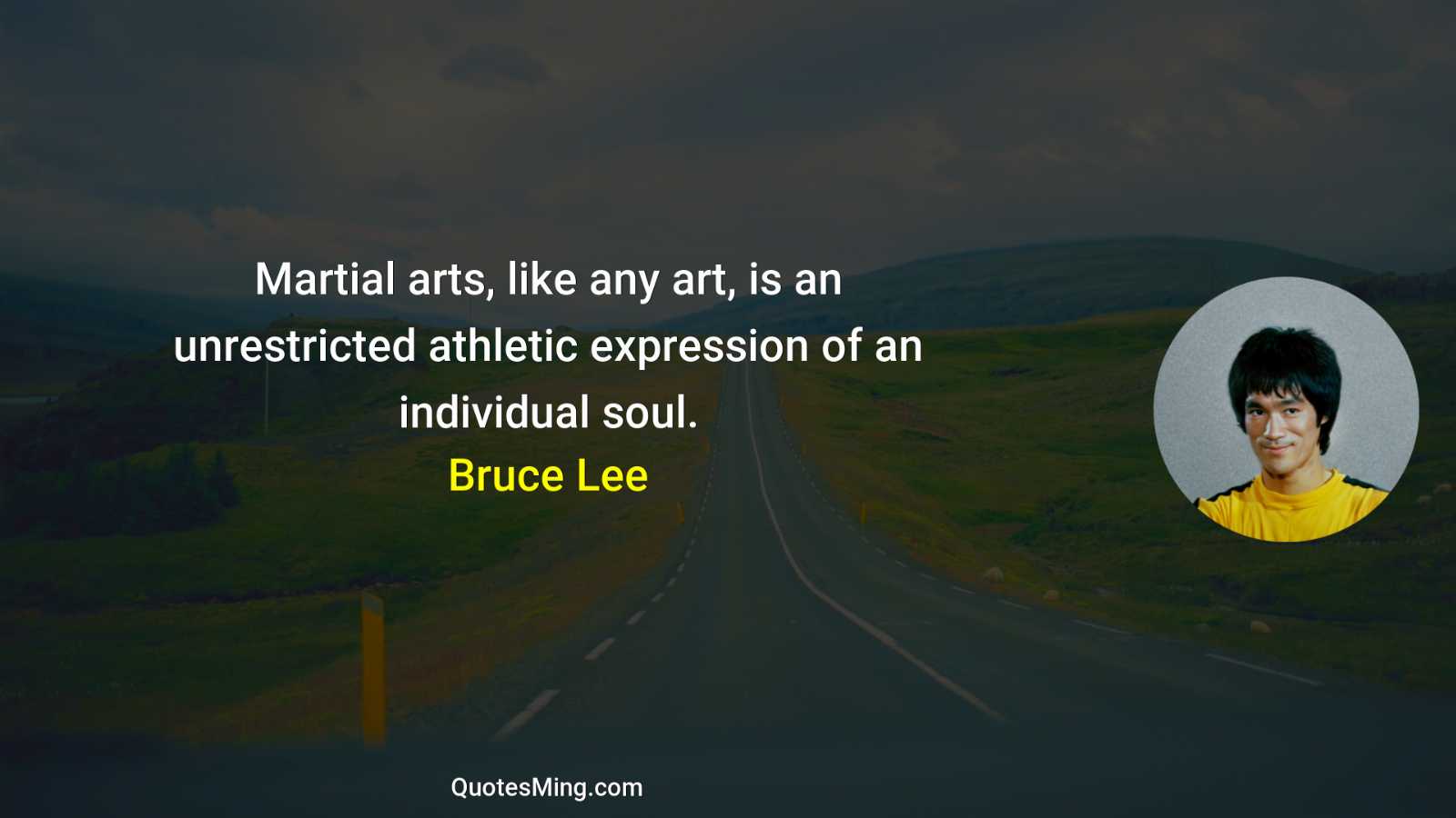 Martial arts like any art is an unrestricted athletic expression