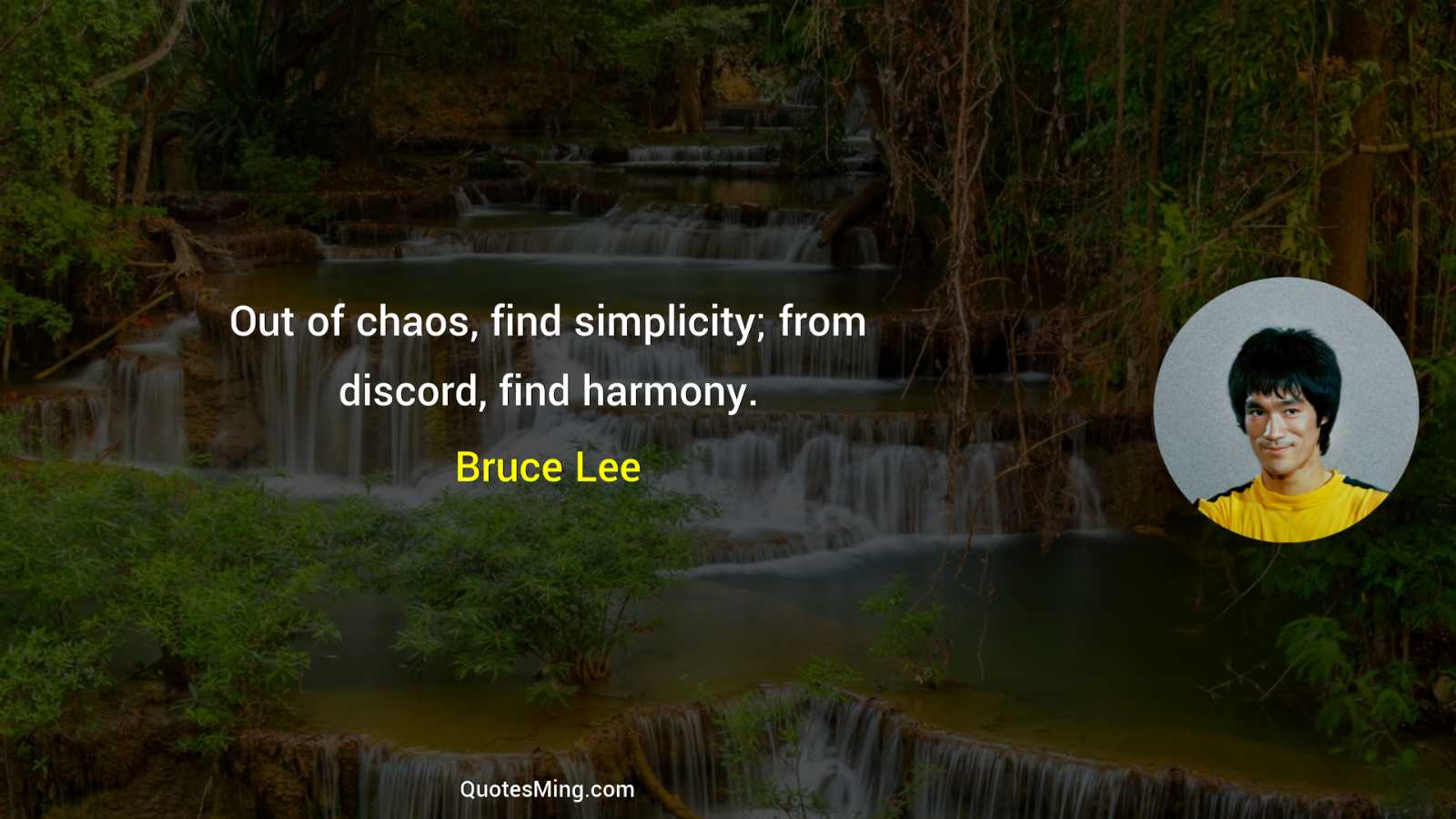 Out of chaos find simplicity; from discord find harmony