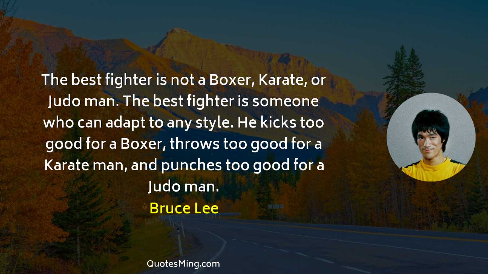 The best fighter is not a Boxer Karate or Judo