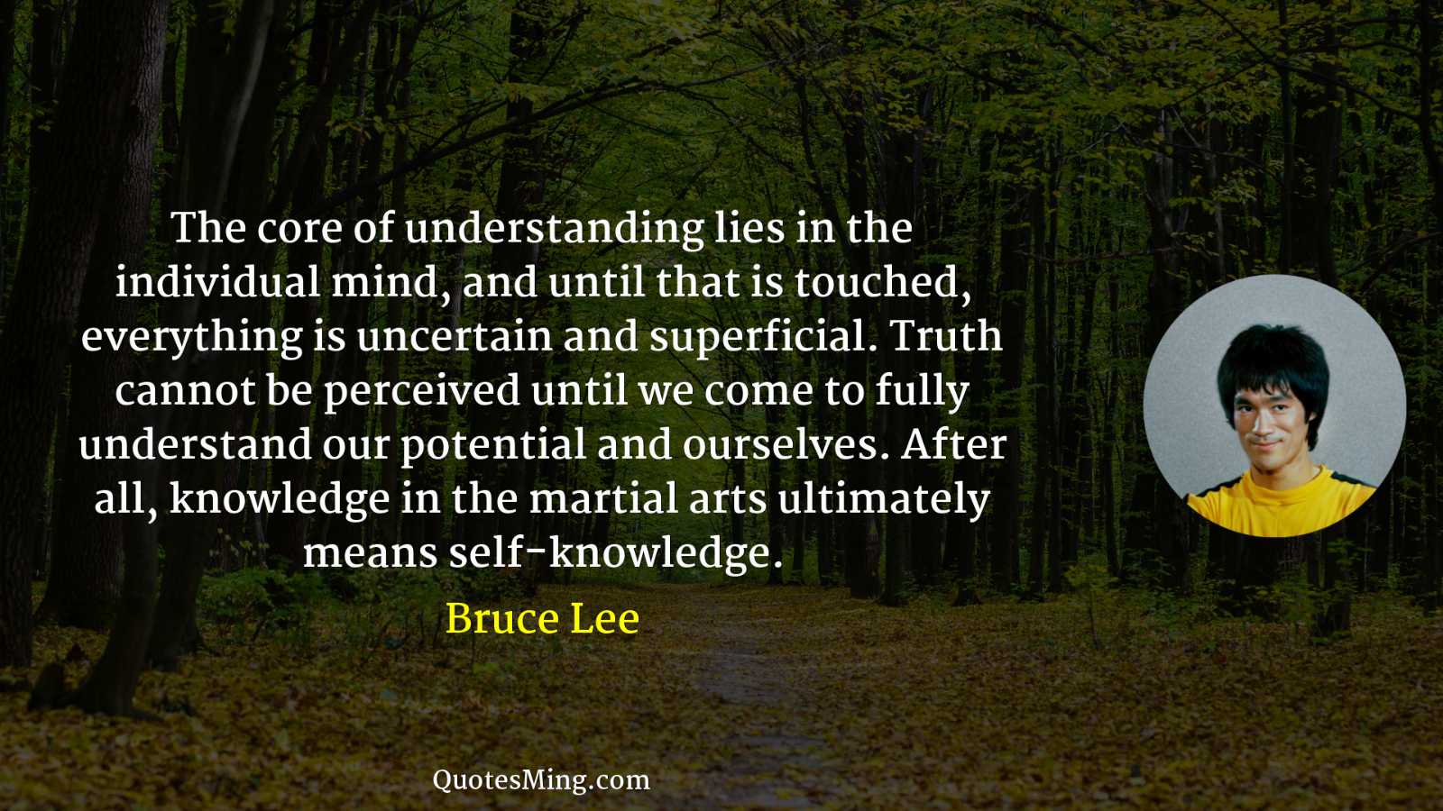 The core of understanding lies in the individual mind and