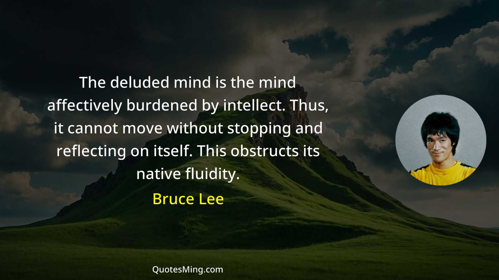 The deluded mind is the mind affectively burdened by intellect