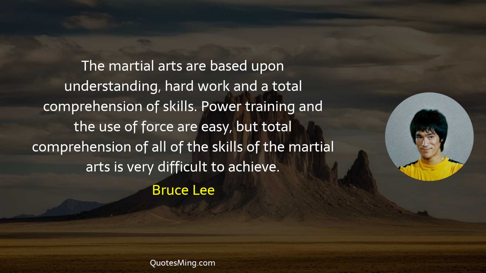 The martial arts are based upon understanding hard work and