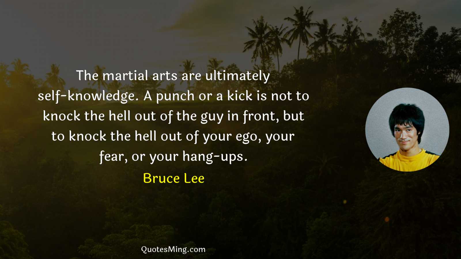 The martial arts are ultimately self-knowledge A punch or a