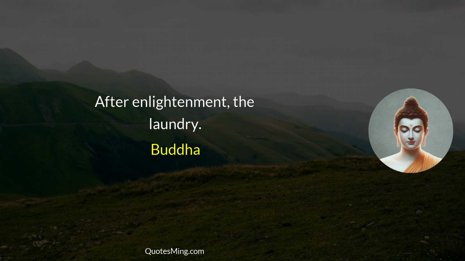 After enlightenment the laundry