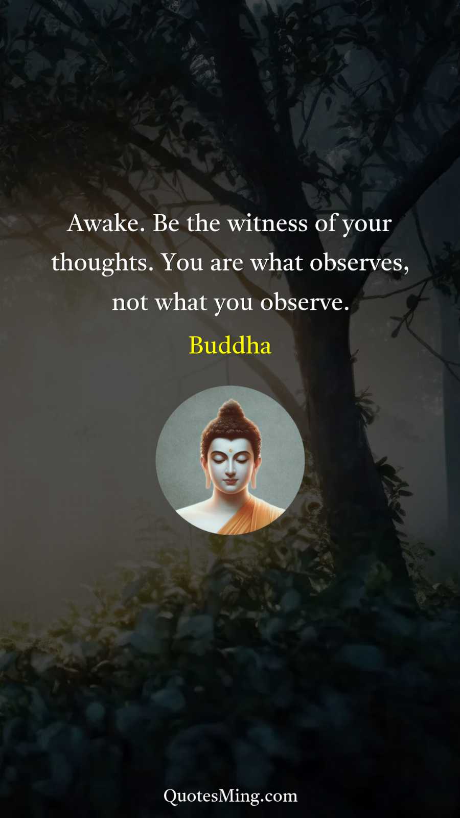 Awake Be the witness of your thoughts You are what