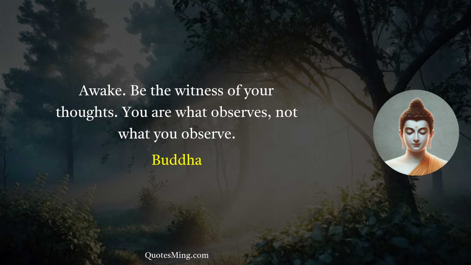 Awake Be the witness of your thoughts You are what