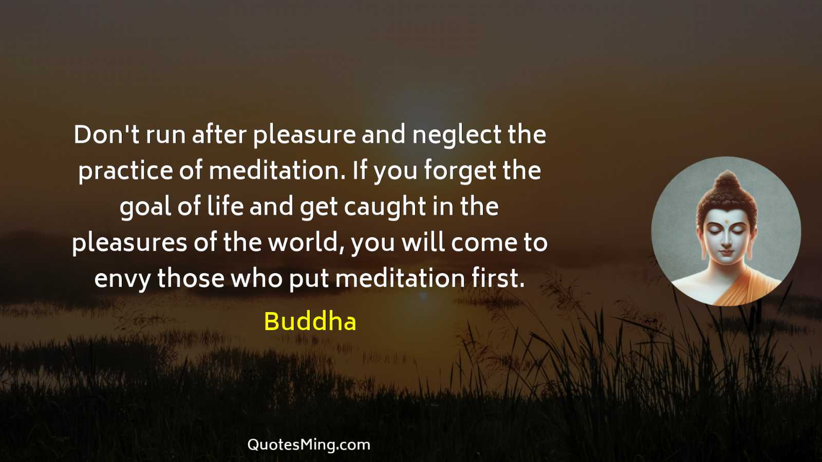 Don't run after pleasure and neglect the practice of meditation