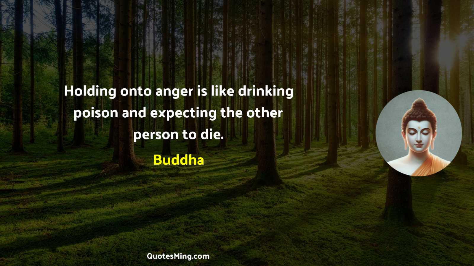 Holding onto anger is like drinking poison and expecting the