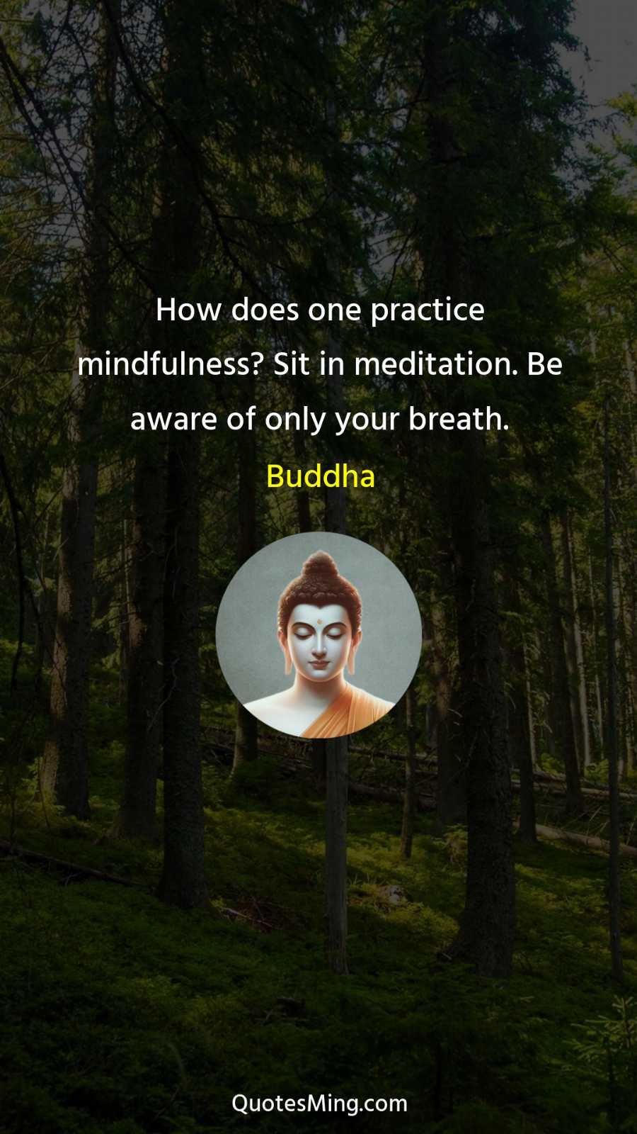 How does one practice mindfulness? Sit in meditation Be aware