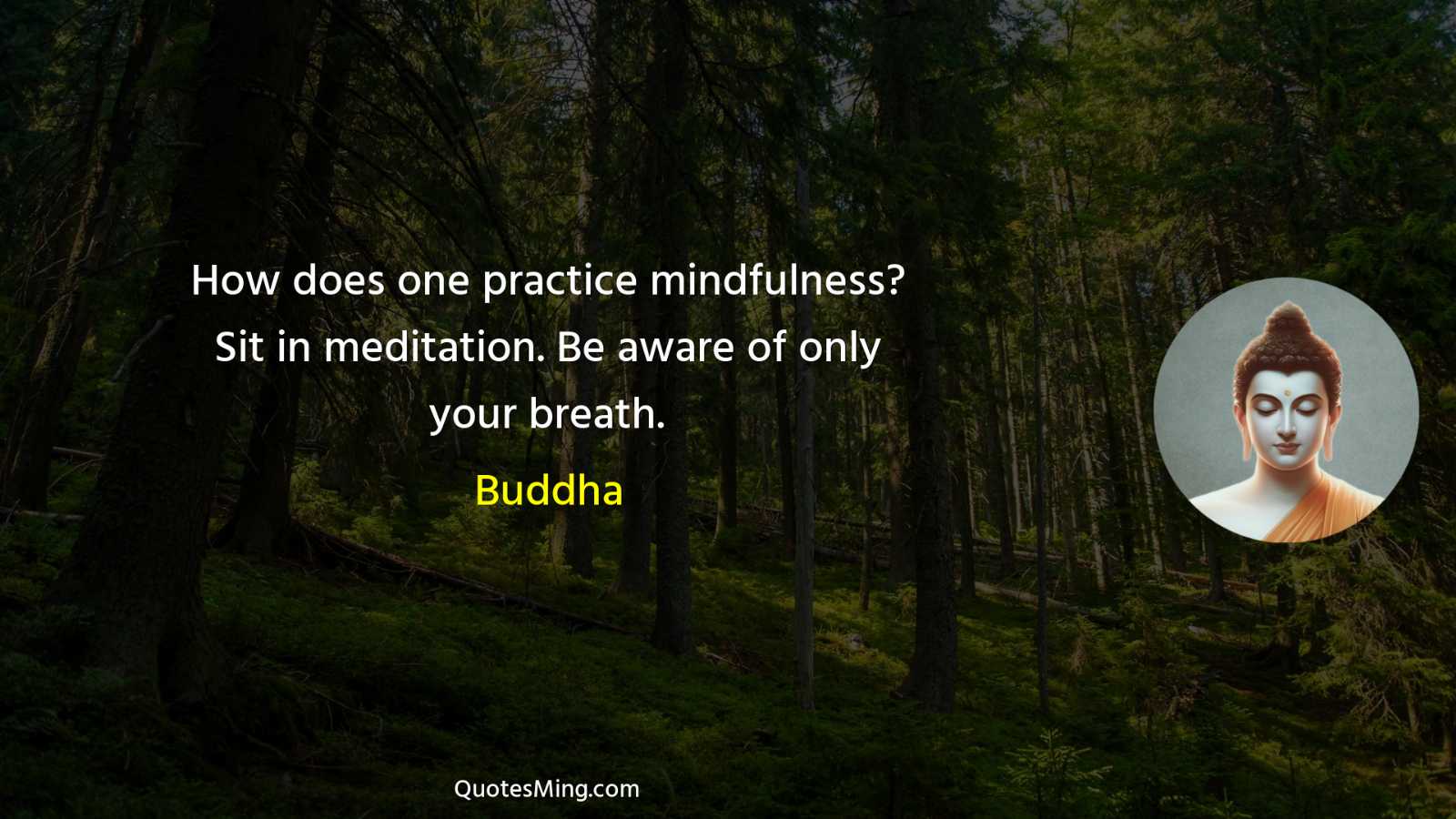 How does one practice mindfulness? Sit in meditation Be aware