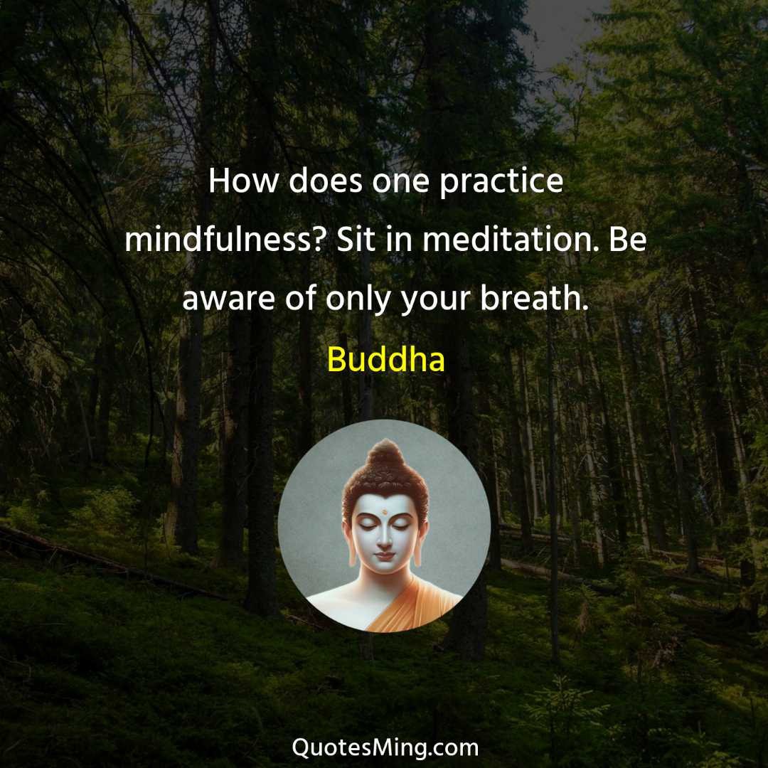 How does one practice mindfulness? Sit in meditation Be aware