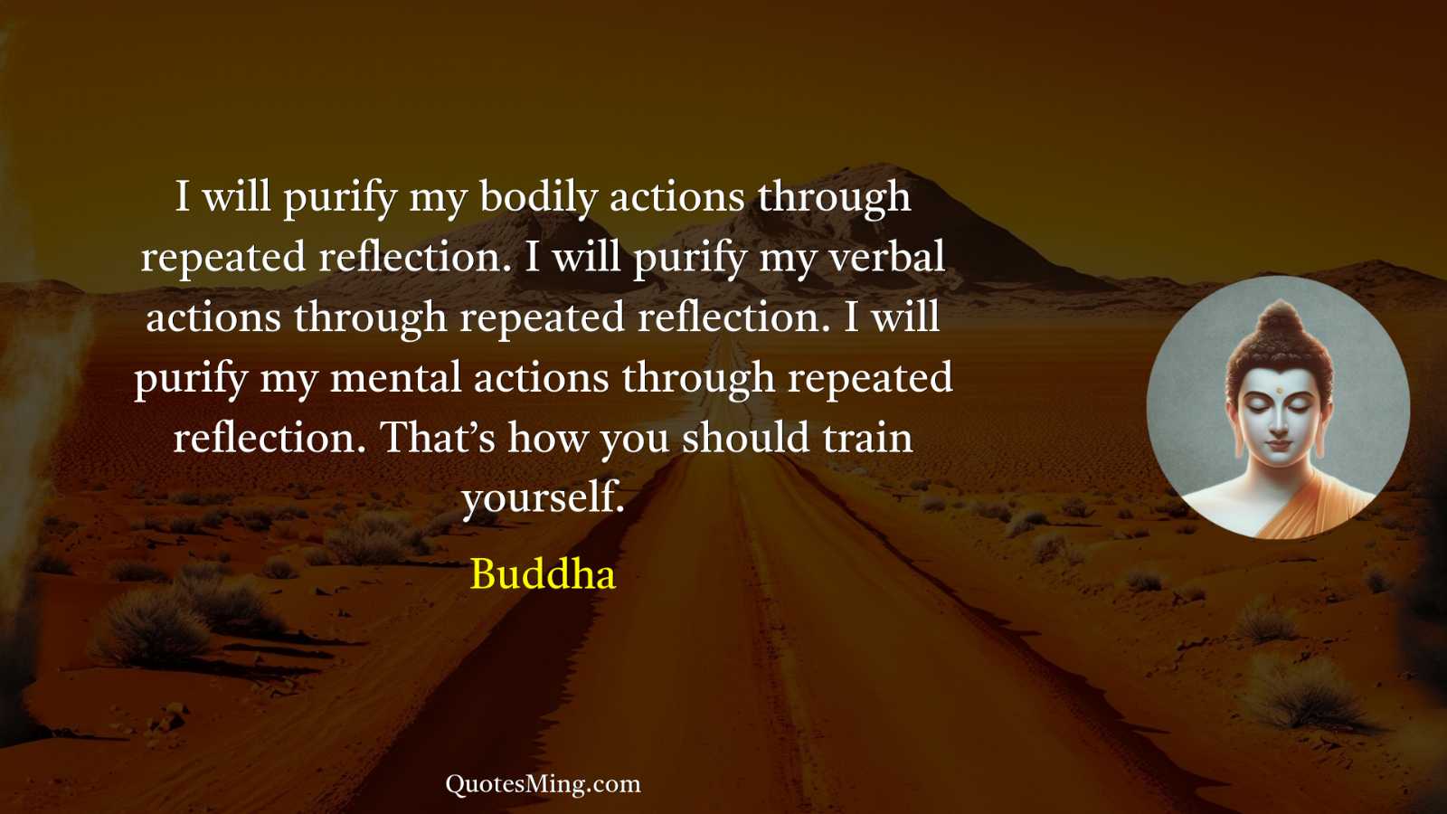 I will purify my bodily actions through repeated reflection I