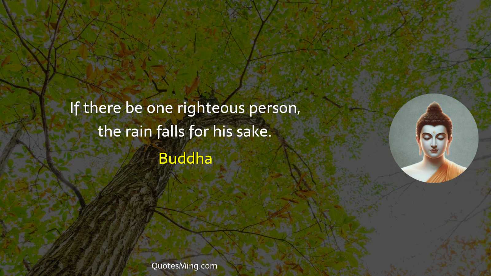 If there be one righteous person the rain falls for