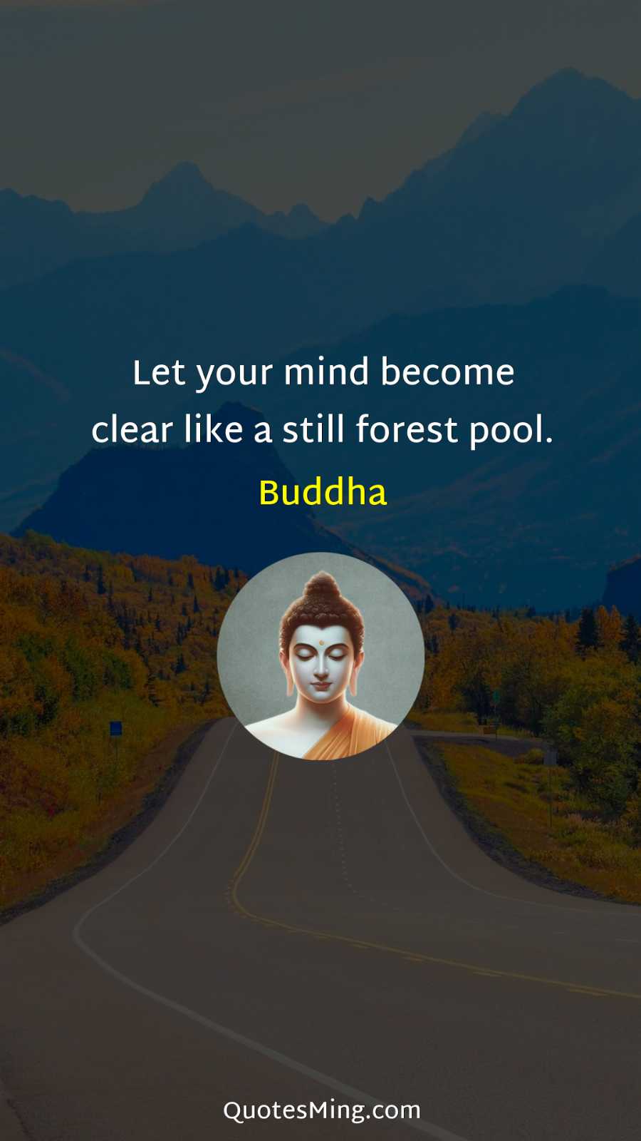 Let your mind become clear like a still forest pool