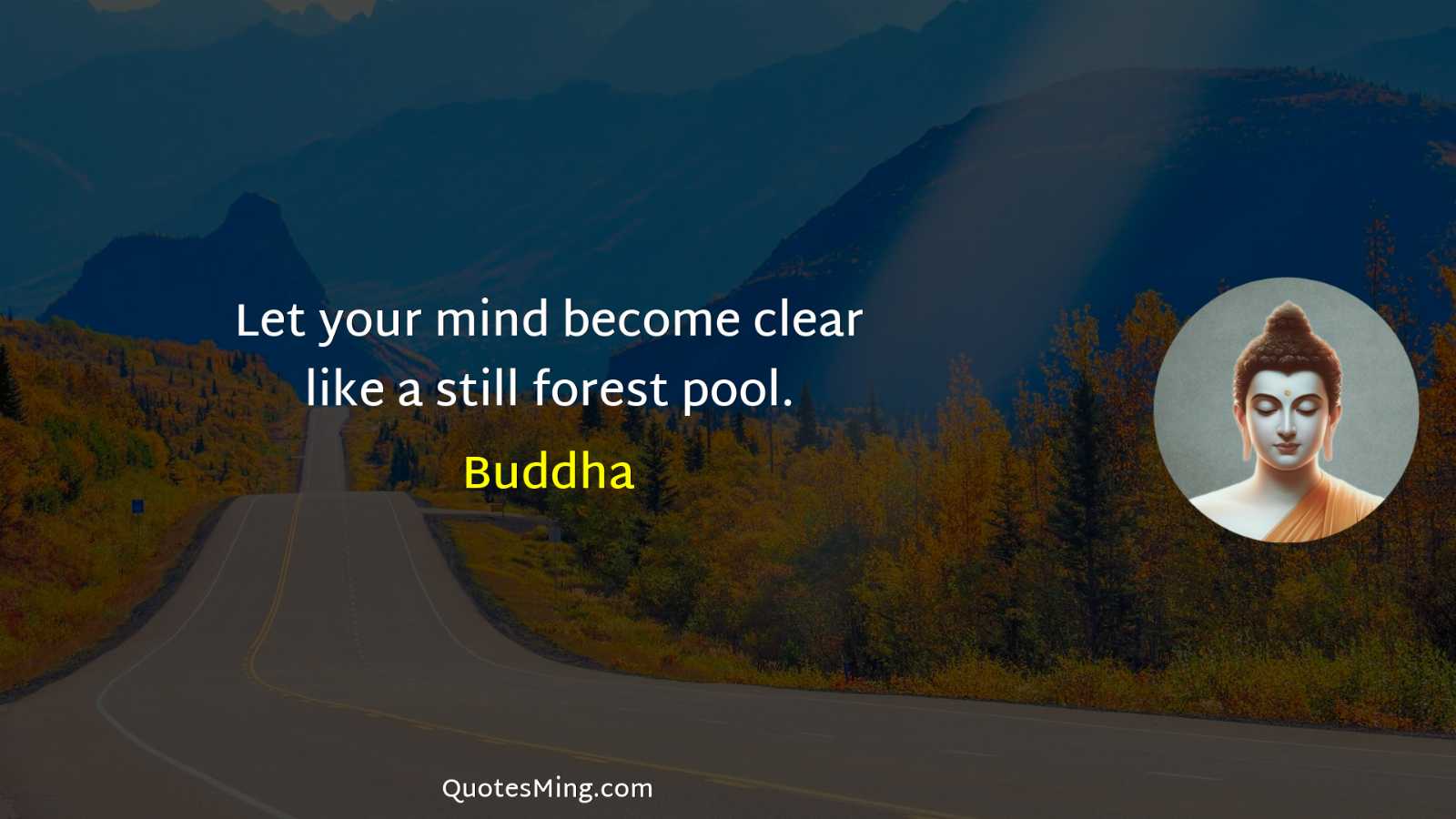 Let your mind become clear like a still forest pool