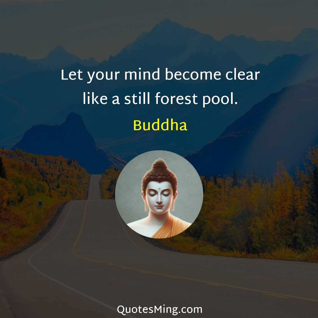 Let your mind become clear like a still forest pool