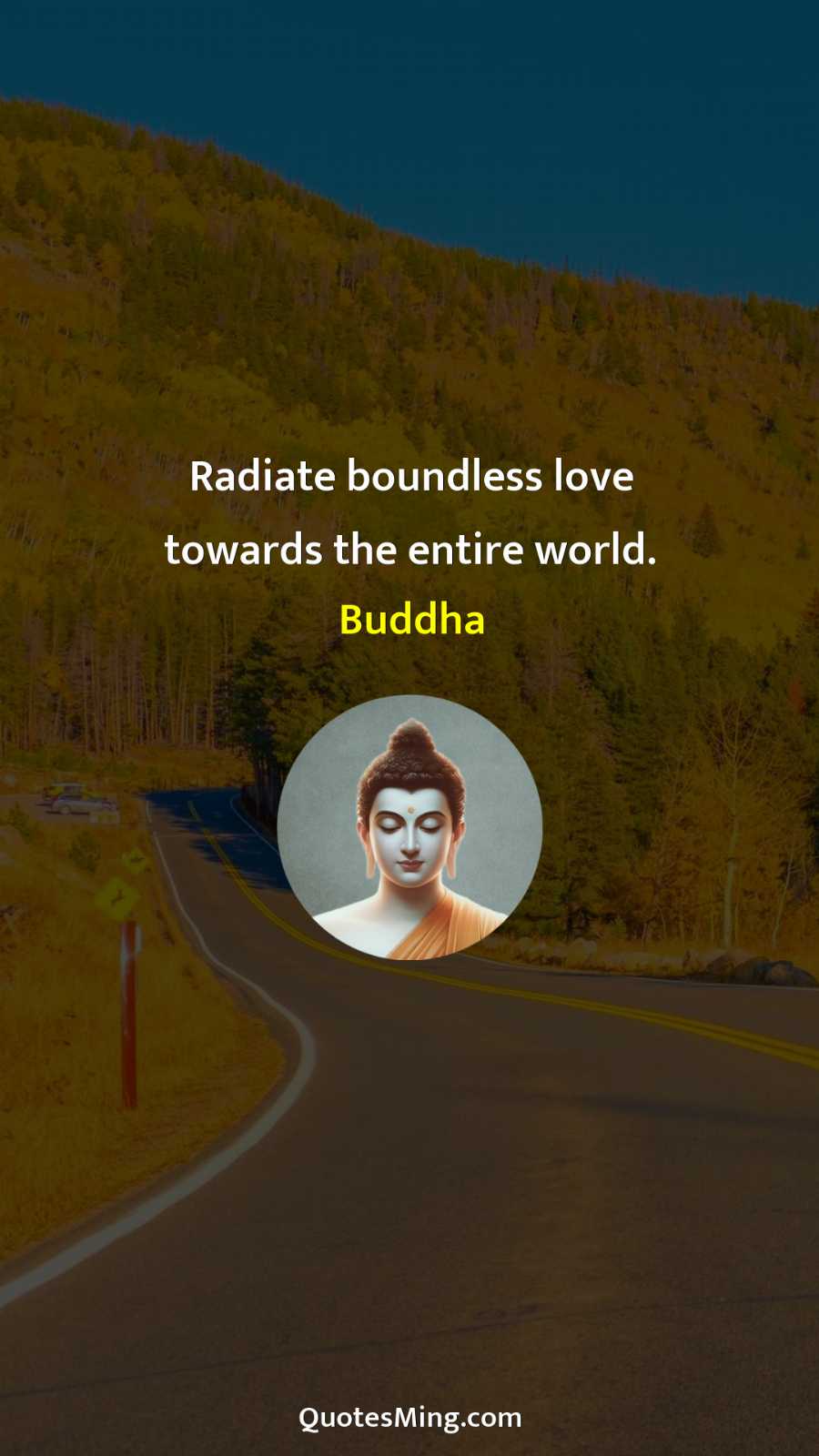 Radiate boundless love towards the entire world