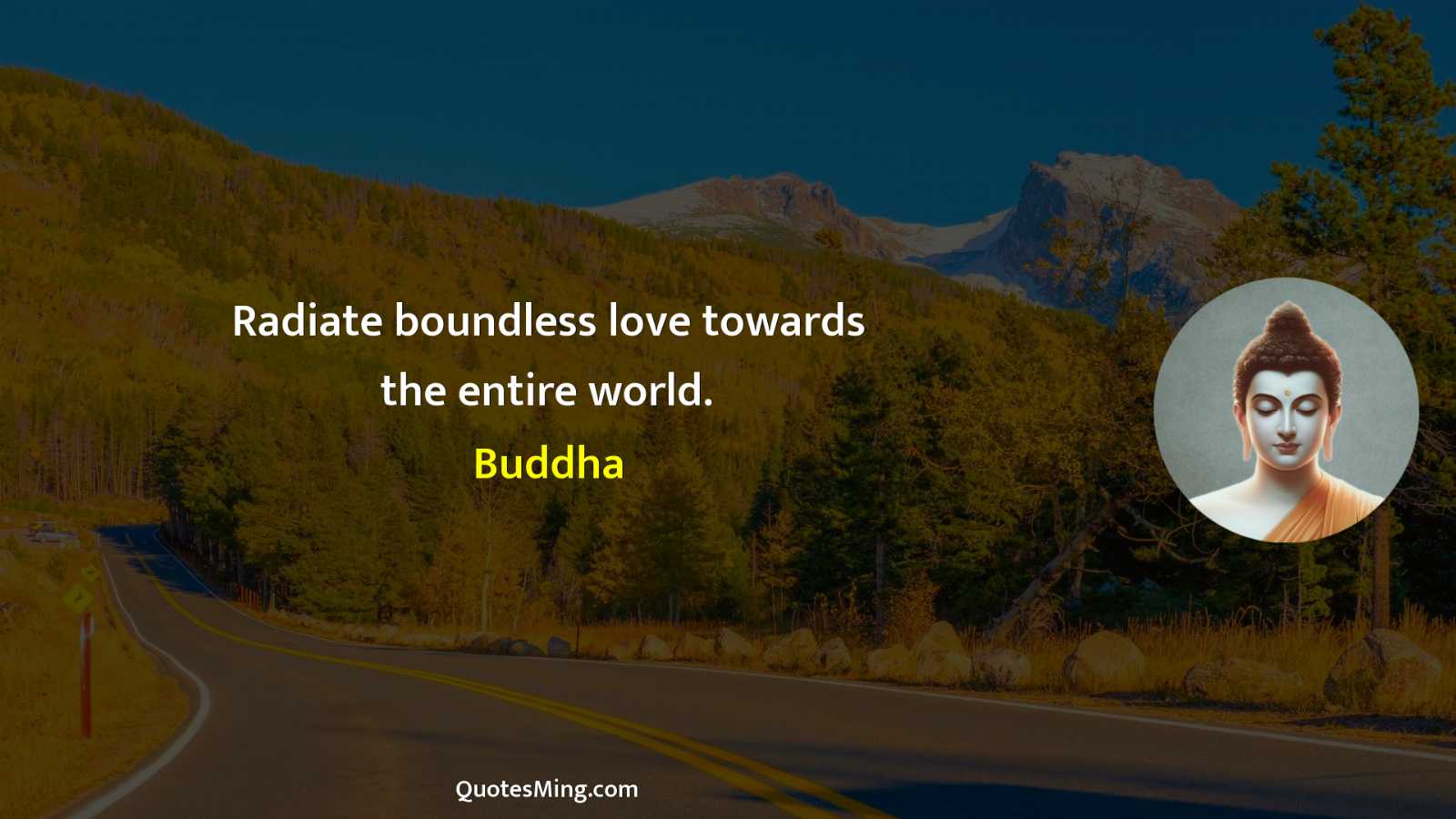 Radiate boundless love towards the entire world