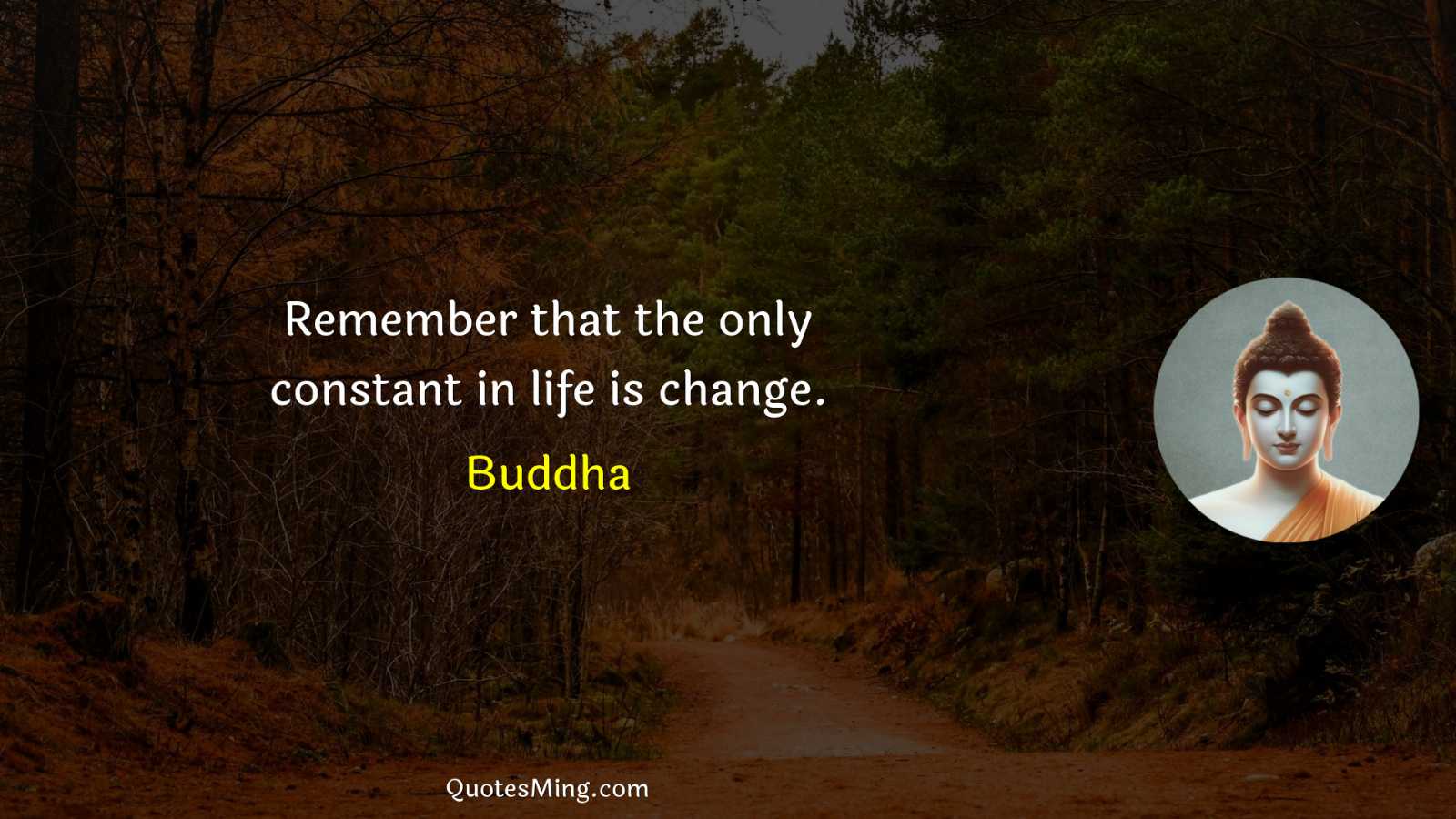 Remember that the only constant in life is change