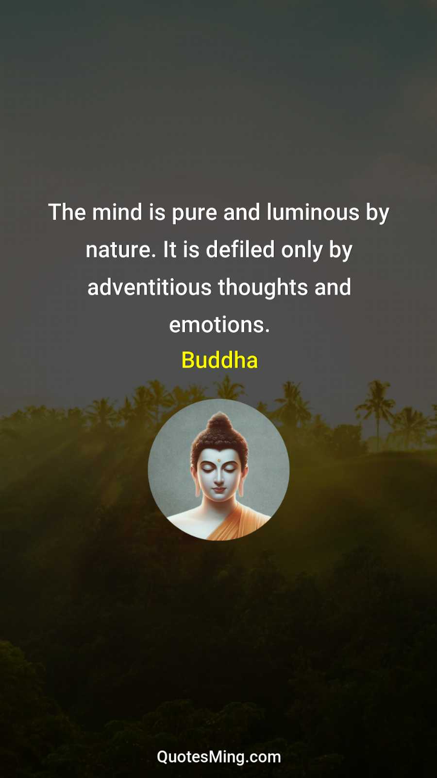 The mind is pure and luminous by nature It is