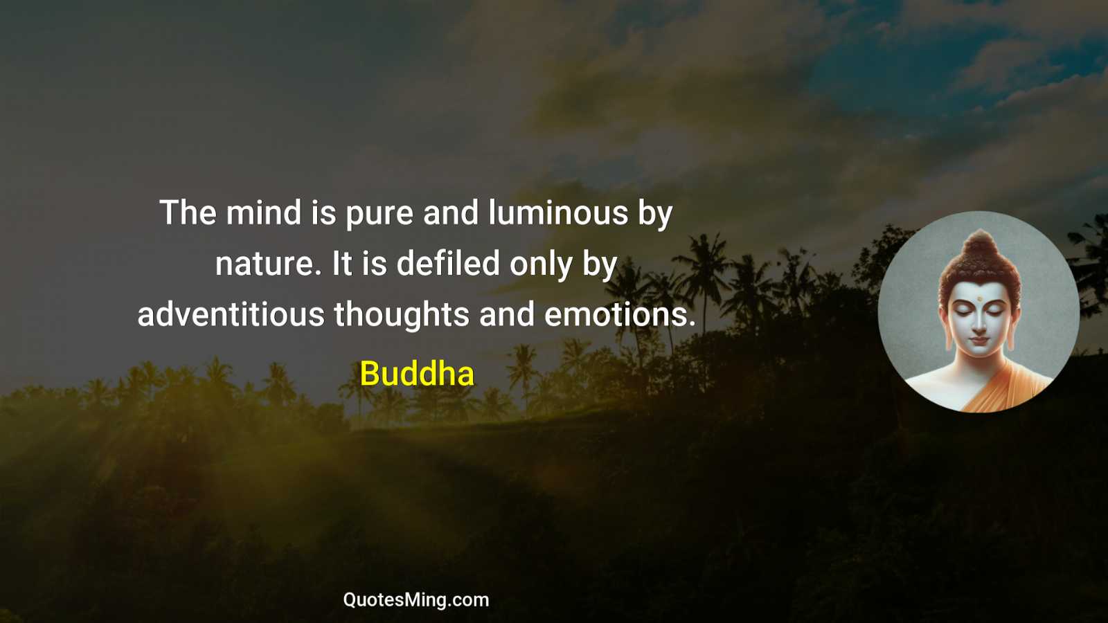 The mind is pure and luminous by nature It is