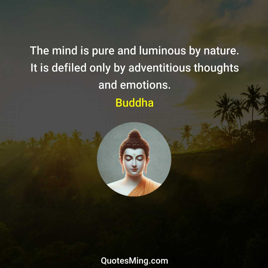 The mind is pure and luminous by nature It is