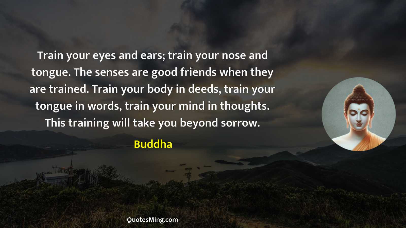 Train your eyes and ears; train your nose and tongue