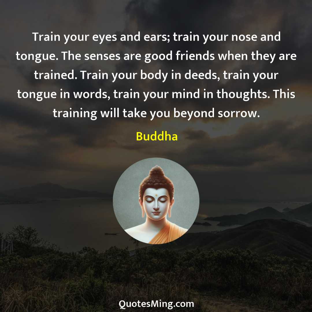 Train your eyes and ears; train your nose and tongue