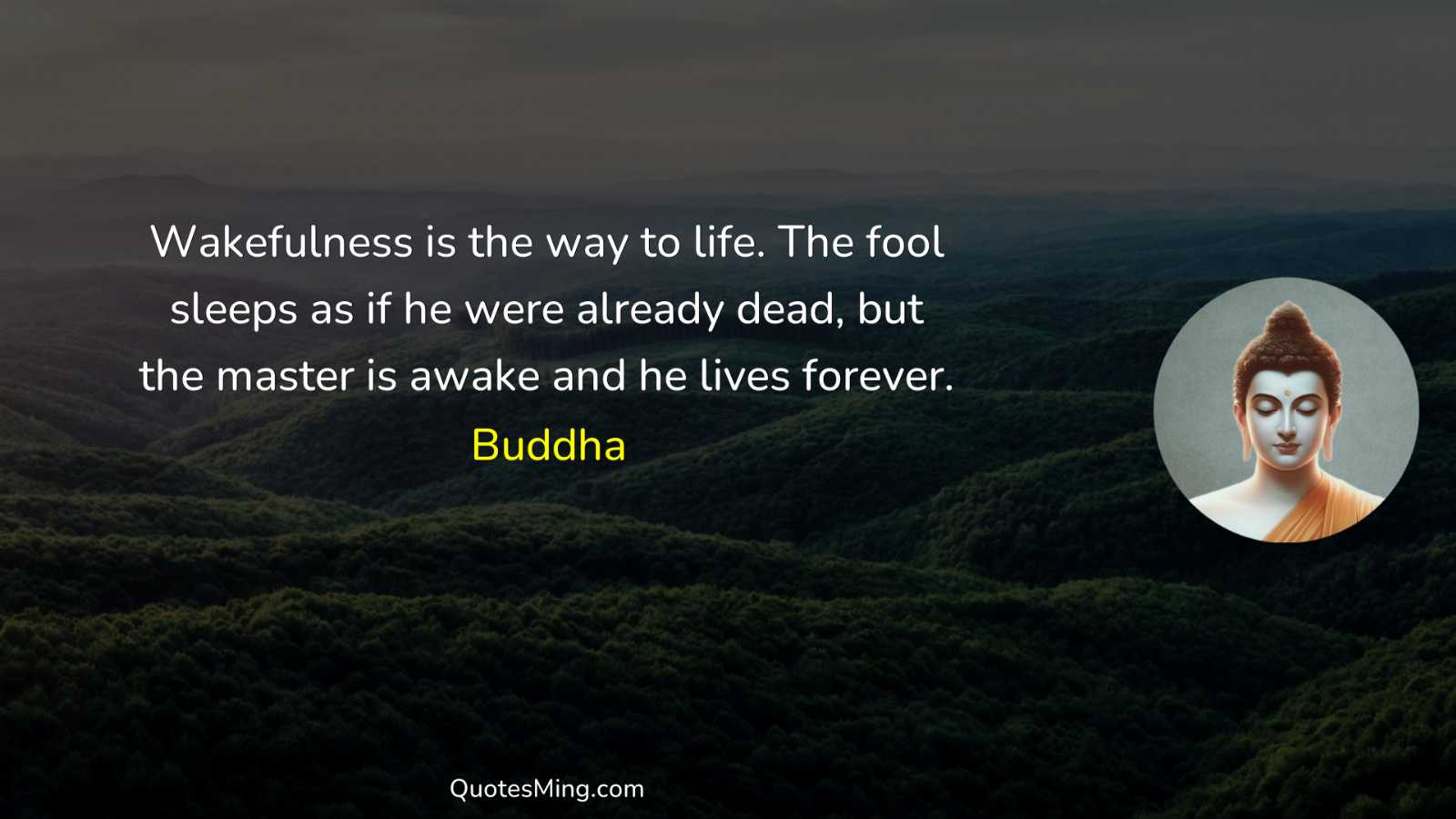 Wakefulness is the way to life The fool sleeps as