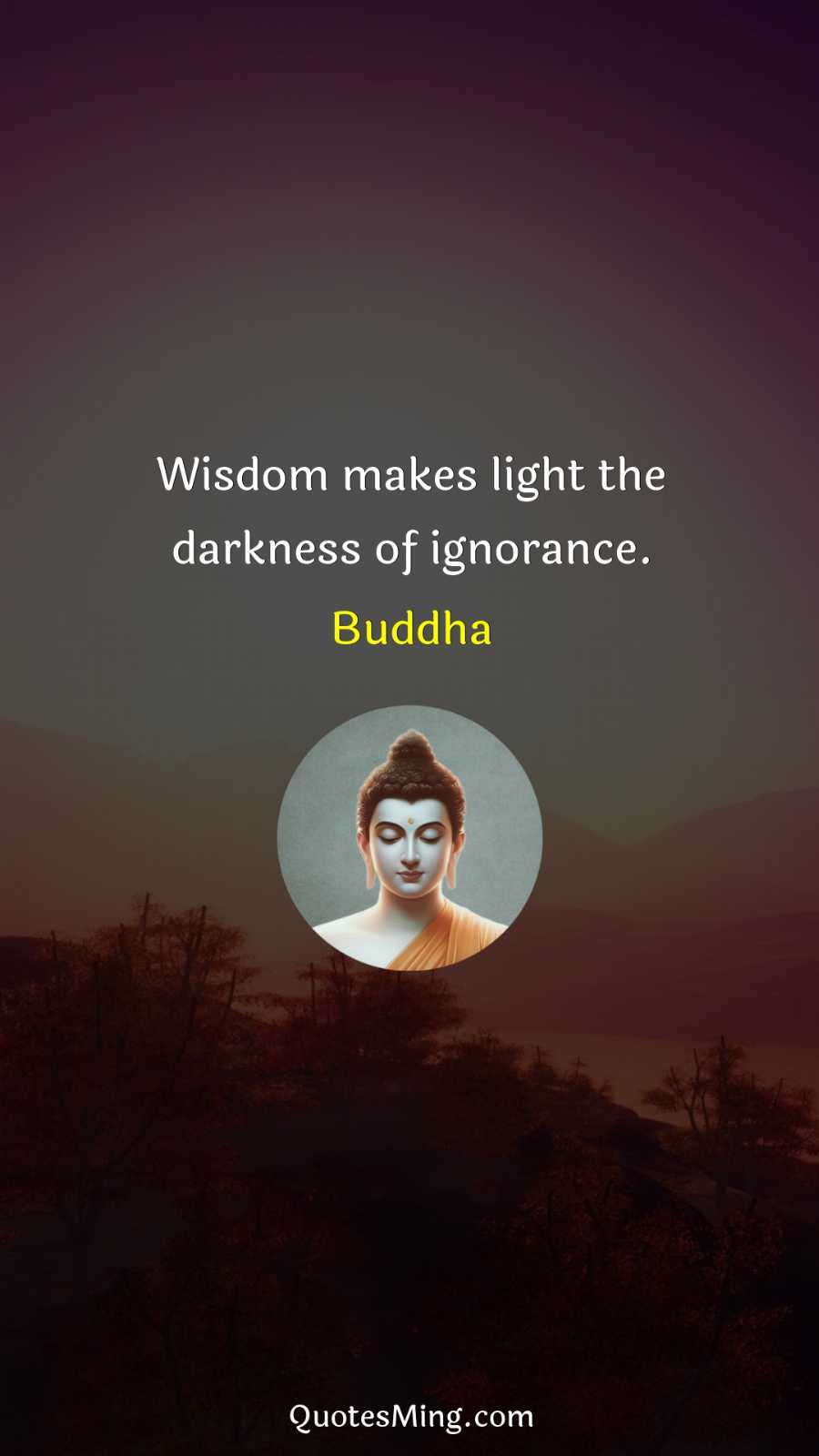 Wisdom makes light the darkness of ignorance