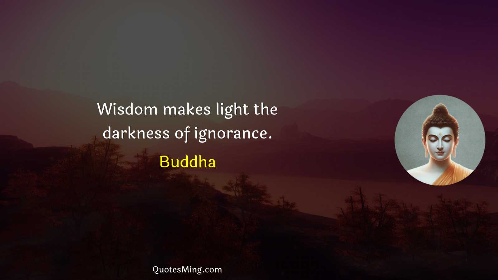 Wisdom makes light the darkness of ignorance