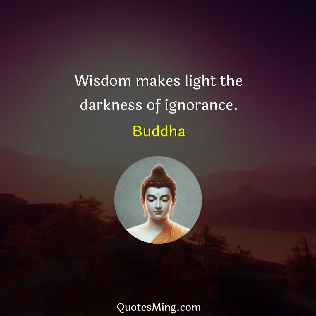 Wisdom makes light the darkness of ignorance