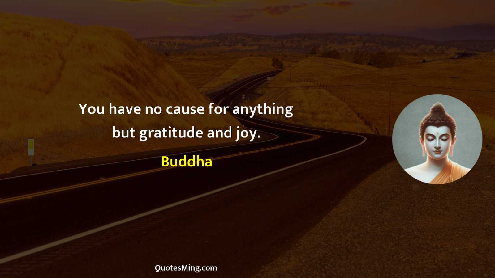 You have no cause for anything but gratitude and joy