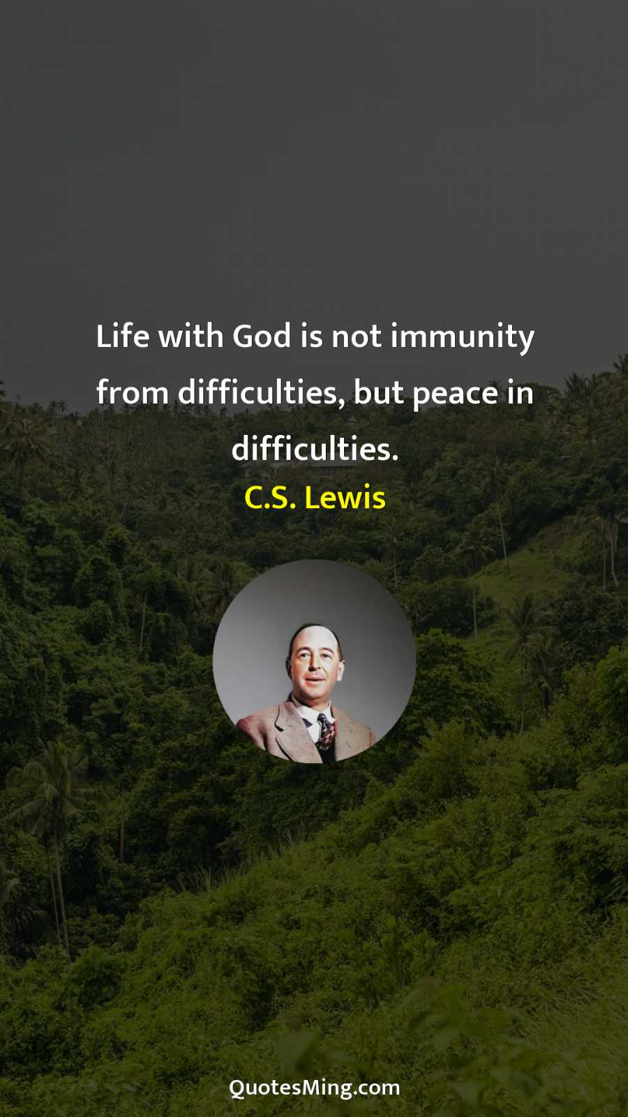 Life with God is not immunity from difficulties but peace