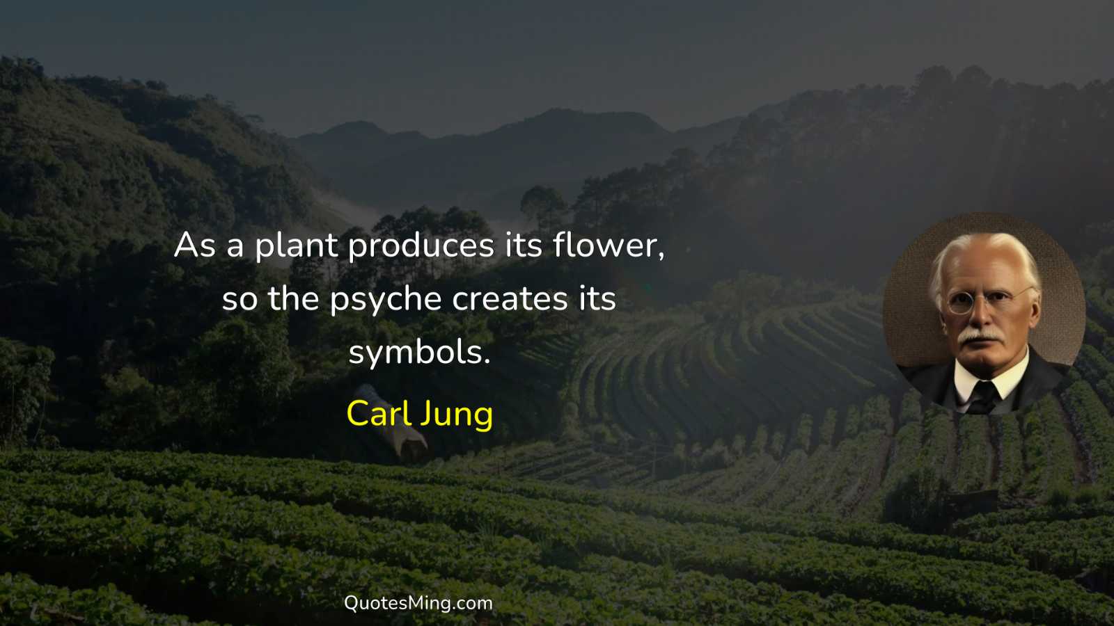 As a plant produces its flower so the psyche creates