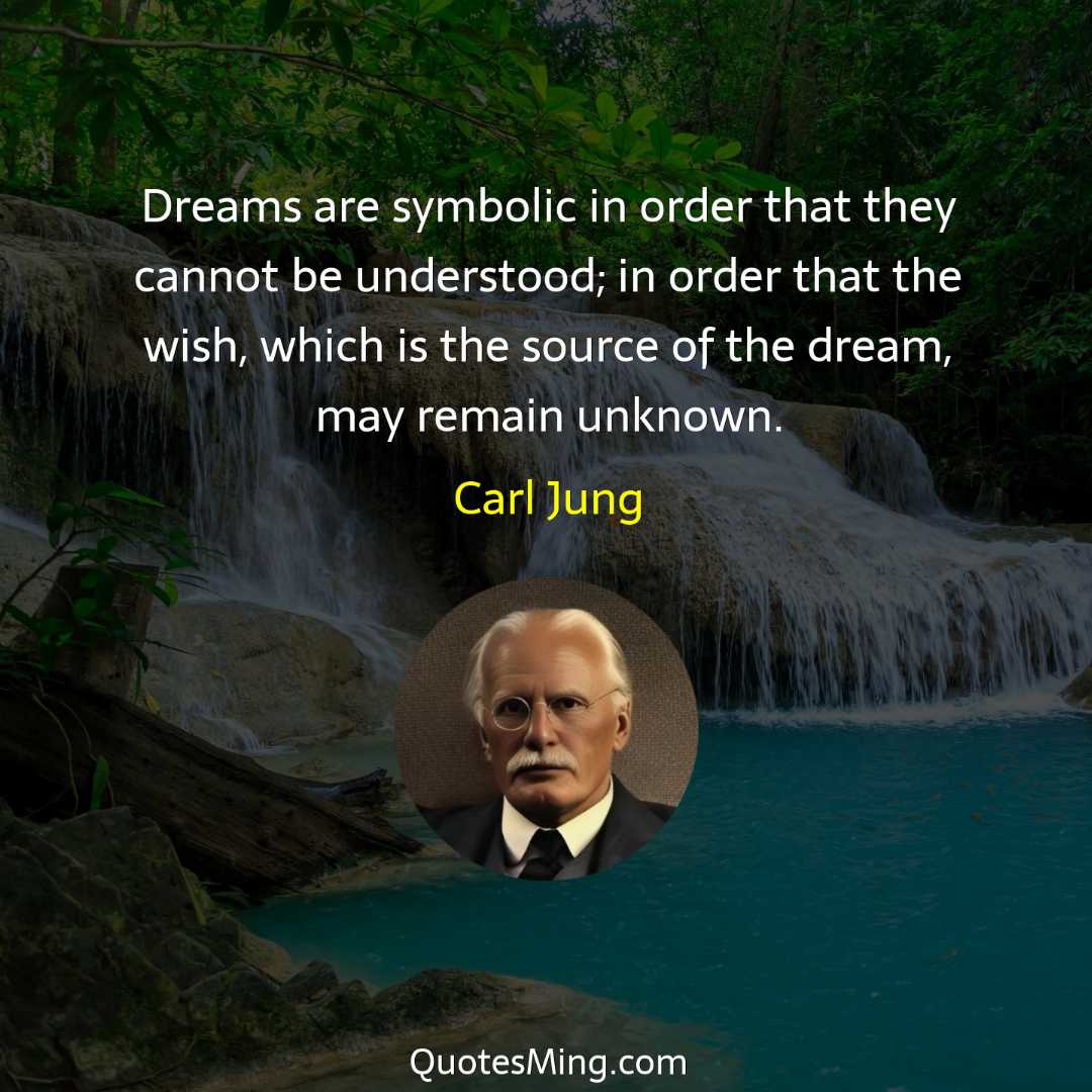 Dreams are symbolic in order that they cannot be understood;