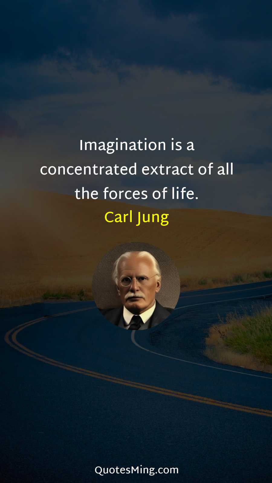 Imagination is a concentrated extract of all the forces of