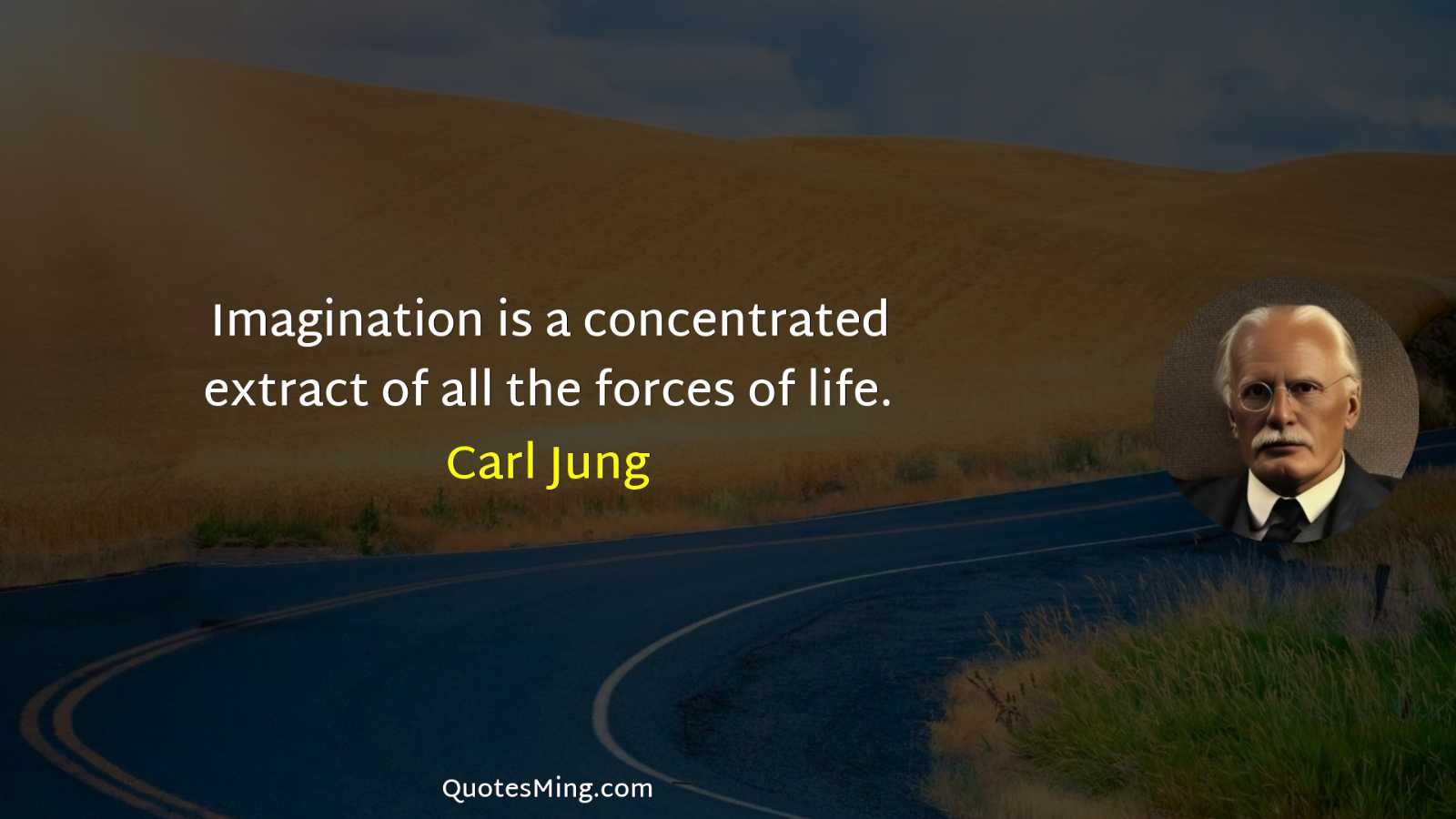 Imagination is a concentrated extract of all the forces of