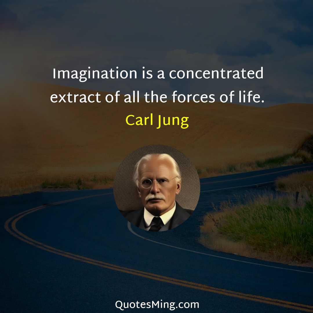 Imagination is a concentrated extract of all the forces of