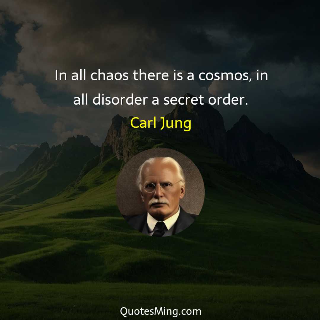 In all chaos there is a cosmos in all disorder