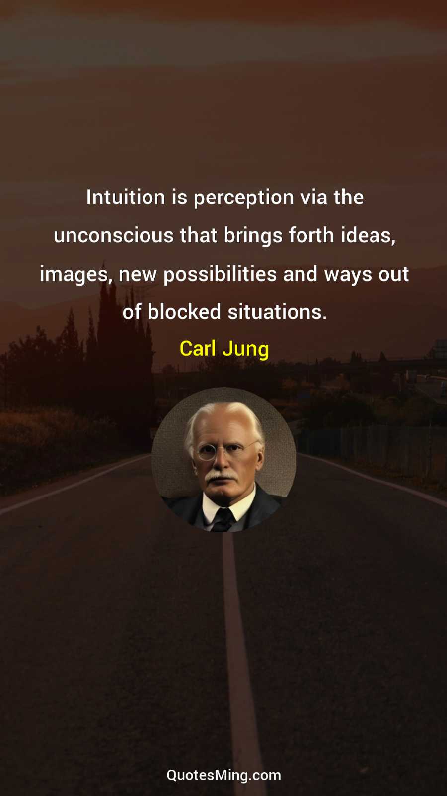 Intuition is perception via the unconscious that brings forth ideas