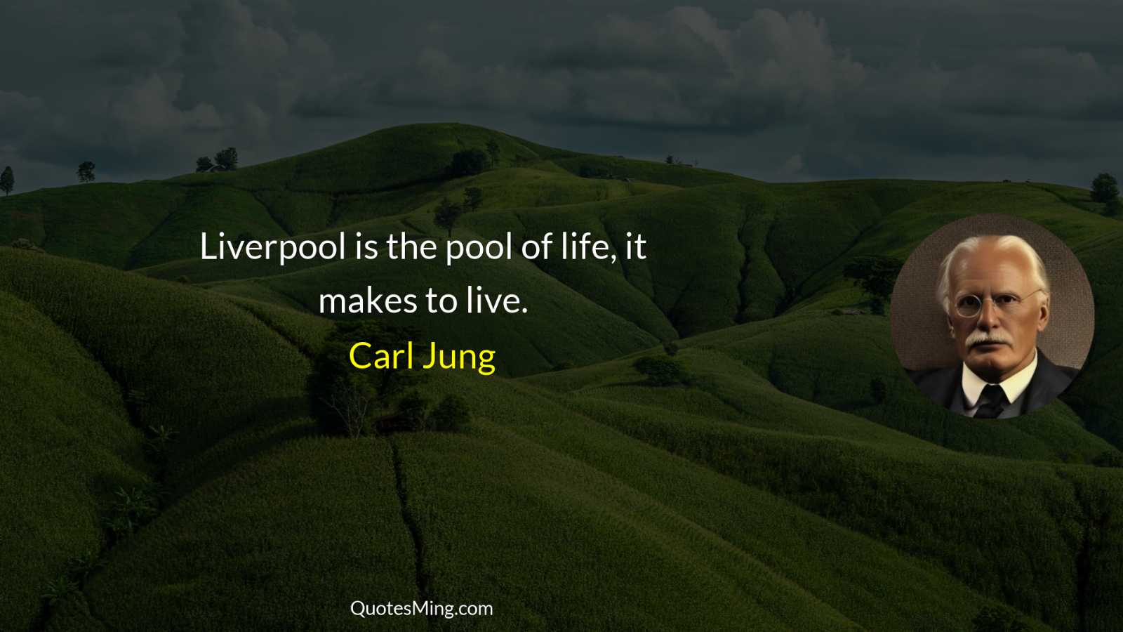 Liverpool is the pool of life it makes to live