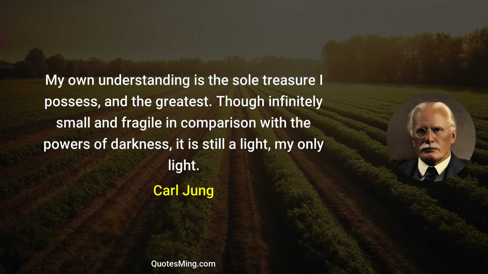 My own understanding is the sole treasure I possess and