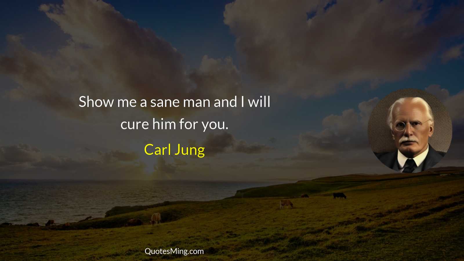 Show me a sane man and I will cure him